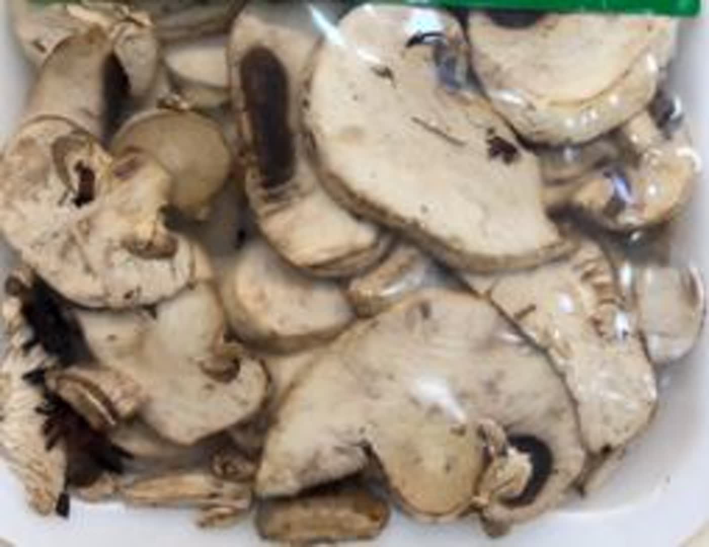 Cogumelos - Orgânicos Madalena