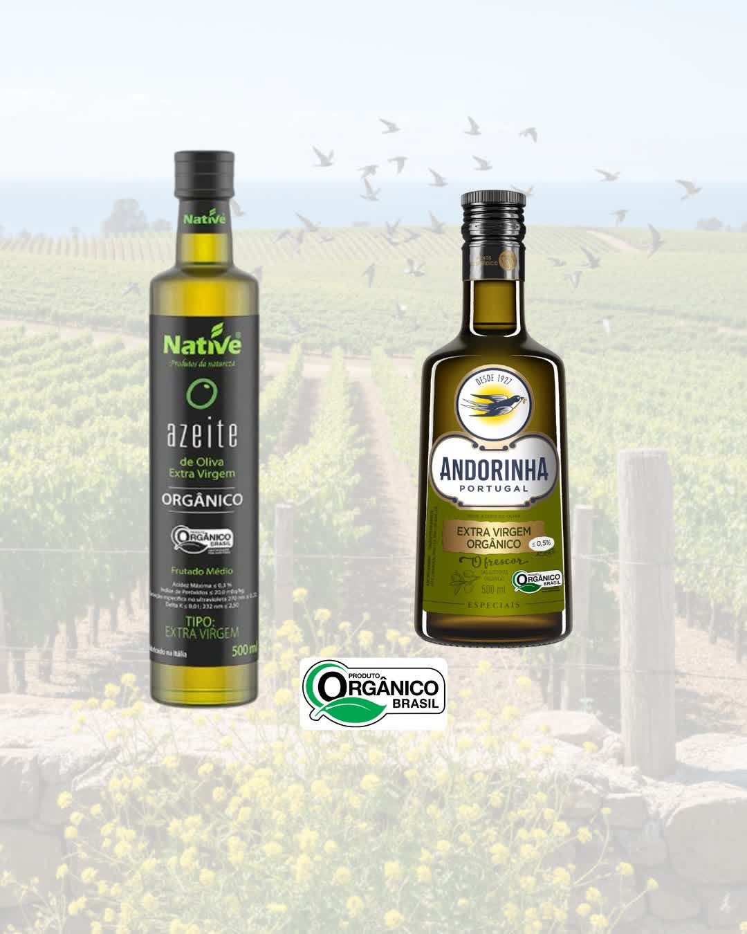 Óleos e Azeites - Orgânicos Madalena