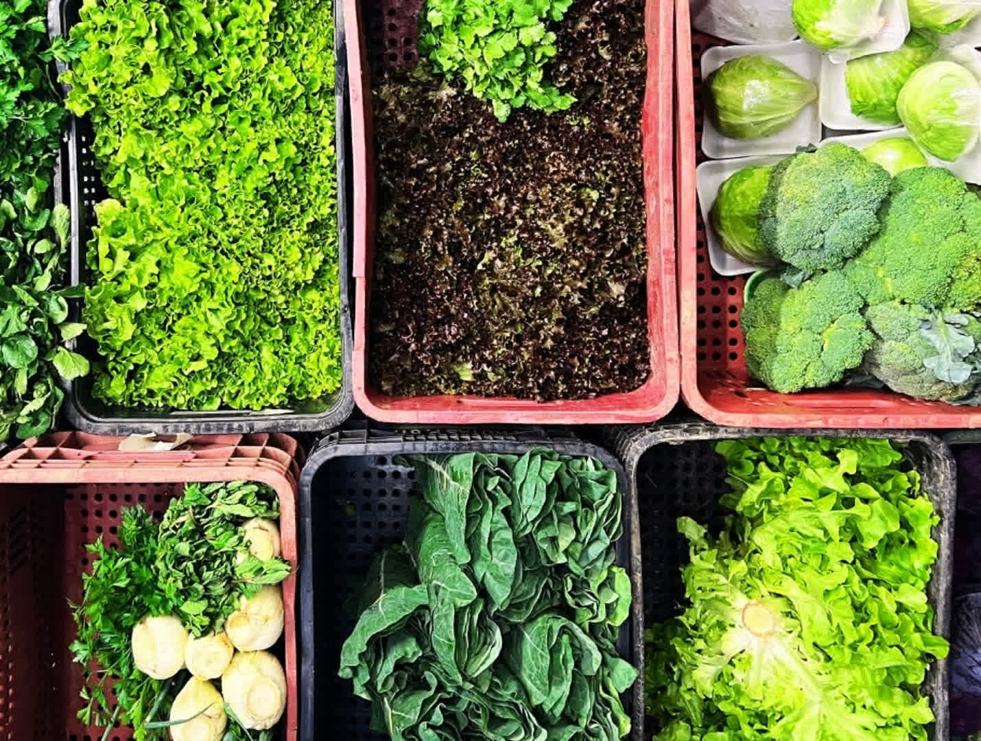 Verduras - Orgânicos Madalena