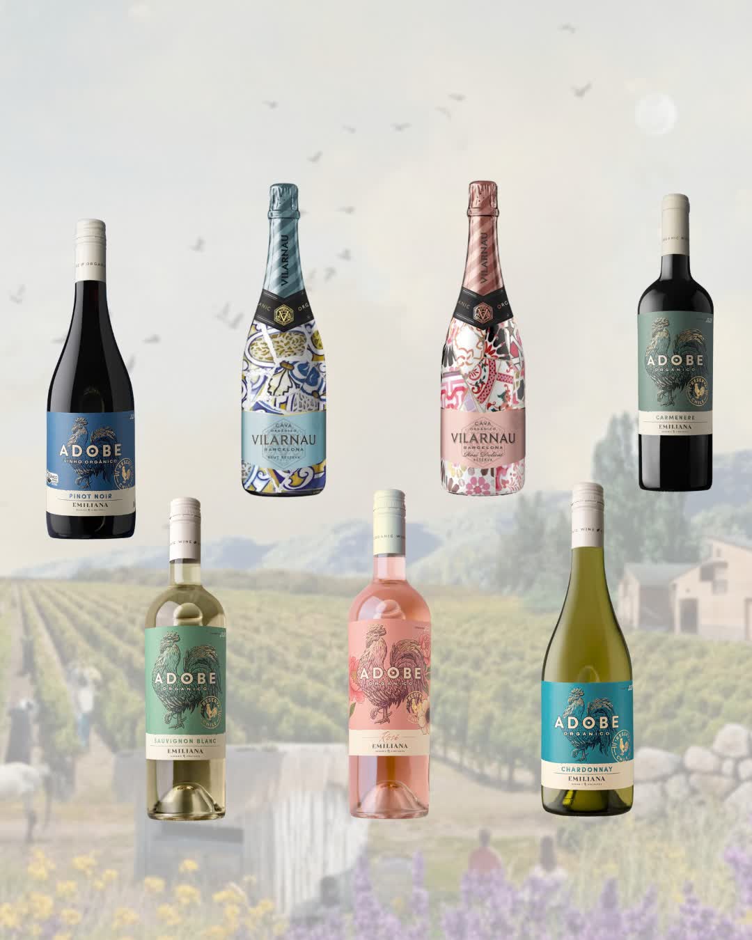 Vinhos - Orgânicos Madalena